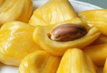 Lợi và hại khi ăn mít trong thai kỳ