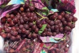   Sau nạn dịch ruồi giấm, 3 loại quả từ Australia được phép nhập khẩu trở lại