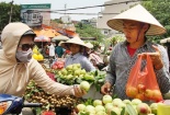  Đào Trung Quốc đội lốt đào Sapa tràn ngập thị trường