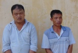 Thanh Hóa: Nạn trộm trâu ngày càng gia tăng, diễn biến phức tạp 