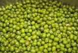 Chữa bệnh gút hiệu quả với đậu xanh