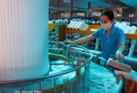 Cần Thơ: Tổng kết thập niên chất lượng lần thứ II