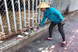 Tp. HCM: Bé sơ sinh bị bỏ rơi ngoài hàng rào bệnh viện đã tử vong