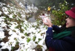 El Nino mạnh kỷ lục, mùa đông năm nay ấm áp