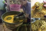 Sầu riêng kém ngọt nếu không ngâm hóa chất thúc chín?