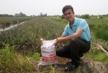 Cử nhân thất nghiệp thành 'vua' trùn quế đất Củ Chi