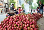 Thanh long đổ đống vỉa hè Hà Nội do đâu?