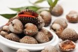 Mẹo làm sạch nghêu, sò, ốc, hến cực đơn giản và hiệu quả