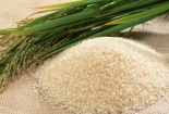 Cách chọn gạo ngon cho bữa cơm gia đình ấm áp