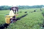 Chưa rõ nguyên nhân cái chết của nữ doanh nhân Lâm Đồng tại Trung Quốc