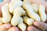 Đậu phộng có làm tăng nguy cơ dị ứng ở con sau này như bà bầu nghĩ?