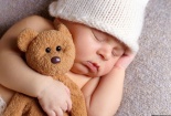 Gấu bông có thể truyền vi khuẩn gây ngộ độc