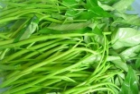 Cách nhận biết rau muống nhiễm chì nhanh chóng