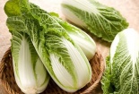 Kỹ thuật trồng cây cải thảo đơn giản, cho năng suất cao
