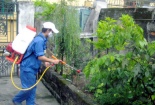 Lo ngại thuốc phun muỗi phòng sốt xuất huyết độc hại có chính xác?