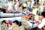 Sốt xuất huyết: Người Hà Nội vẫn thờ ơ