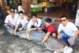 ‘Thuỷ quái’ khổng lồ từ Campuchia về Sài Gòn