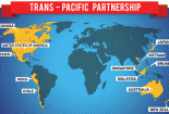 Việt Nam sẽ thiệt thòi khi TPP chỉ có tiêu chuẩn chung?