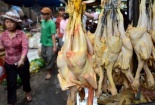 Thực hư trước thông tin gà được 'tạo màu' bằng chất vàng ô