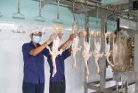 Tại sao người Mỹ treo ngược chân gà, vịt lên sau khi thịt?