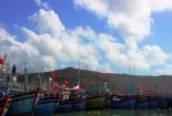 Chuyển giao công nghệ hiện đại của Nhật Bản nâng cao chất lượng đánh bắt cá