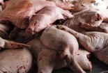 Ngăn chặn 3 tấn thịt, mỡ lợn bốc mùi hôi thối sắp lên bàn ăn