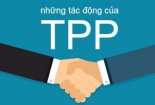 Hà Nội cần chuẩn bị để gia nhập TPP?