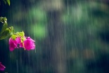Dự báo thời tiết ngày mai 15/11: Mưa nhỏ rải rác trên cả nước