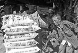 Phân bón làm từ gạch, đất, đá...