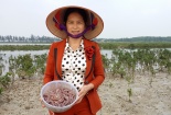 Chỉ dẫn địa lý cho thủy sản ngập nước quá khó khăn