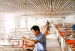 'Quản lý kiểu này dân sẽ bị đầu độc'