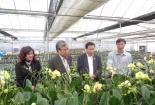Bắc Ninh: Khu thực nghiệm sản xuất nông nghiệp công nghệ cao cho năng suất tốt