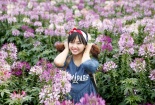 Chụp ảnh Tết dương 2016 tại những vườn hoa đẹp hút hồn ở Hà Nội 