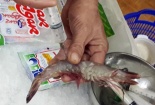 4 vụ phát hiện thực phẩm bẩn khiến người Việt kinh hãi năm 2015 