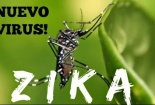 Bộ Y tế cảnh báo virus ăn não do muỗi Aedes
