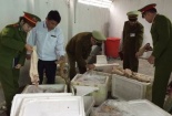 Nhanh chóng tiêu hủy hơn 1 tấn tiết bò, bắp bò hôi thối