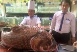 Cá hô 'siêu khủng' giá nửa tỉ đồng sẵn sàng phục vụ đại gia Sài Gòn