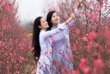 Tháng Tết Nguyên đán sẽ có 2-3 đợt rét đậm, rét hại 