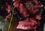 Trôi nổi thịt lợn không nguồn gốc