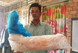 Ngư dân nghèo bắt được cá ‘vàng óng ánh’