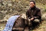 Nông dân lao đao vì đợt rét kỷ lục 40 năm mới xuất hiện một lần