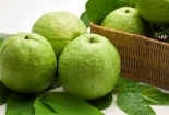 Quả ổi - ‘khắc tinh’ của hợp chất gây ung thư có trong xúc xích