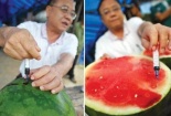 Tham gia TPP, ‘đau đầu’ nhất là vấn đề an toàn thực phẩm!