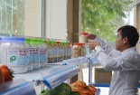 Hội chợ OCOP Quảng Ninh 2016: Các sản phẩm trưng bày áp dụng chặt chẽ các quy định Vietgap