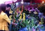 Thị trường Tết 2016: Hoa ly bất ngờ ‘bùng giá’