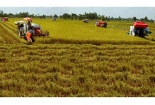 Ứng dụng GIS nâng cao chất lượng quản lý phát triển nông nghiệp tại Cần Thơ