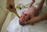 WHO cảnh báo có thể 4 triệu người sẽ nhiễm vi rút Zika 