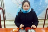 Tin tức pháp luật mới nhất 24h hôm nay ngày 30/1
