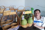Độc đáo giỏ đựng bưởi chưng Tết
