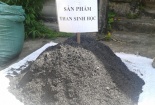Ứng dụng than sinh học vào nông nghiệp giúp tăng năng suất